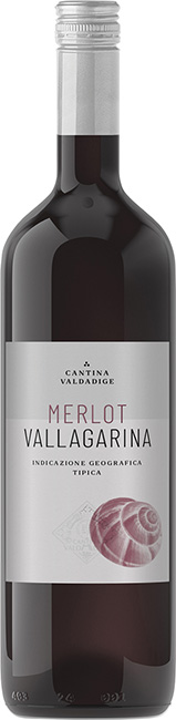 Merlot Vallagarina IGT