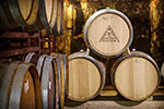 Aliestre Vineyards / Alentejoe