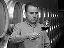 Bodegas Casajus