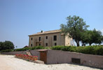 Pallavicini
