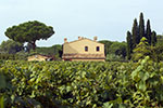Sapaio