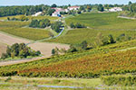 Domaine Labranche-Laffont