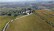 Barone Cornacchia