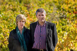 Bodegas Godelia