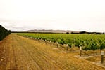 Waipara Hills Winery