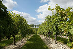 Domaine Labranche-Laffont