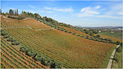 Barone Cornacchia