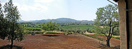 Pallavicini