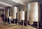 Celler Piñol