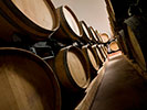 Bodegas Godelia