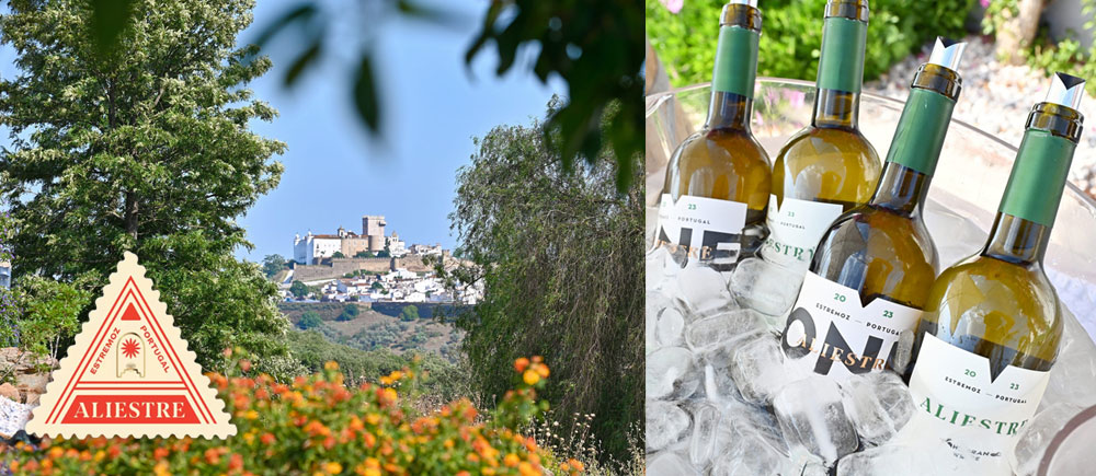 Aliestre Vineyards / Alentejo
