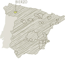 Bierzo
