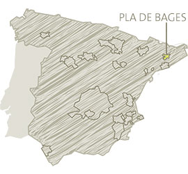 Pla de Bages (Catalunya)